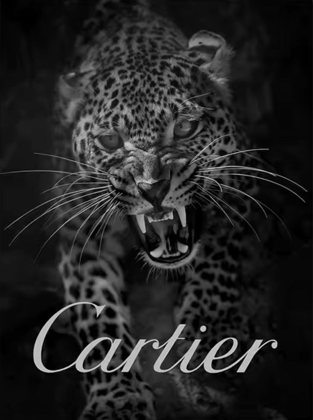 Arte Pantera Cartier