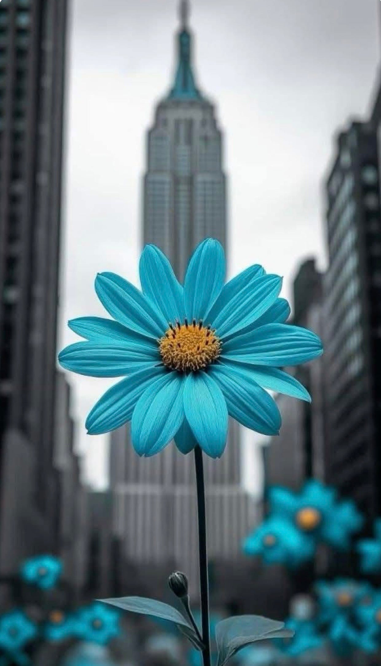 Arte flor azul