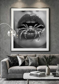 Arte labios araña